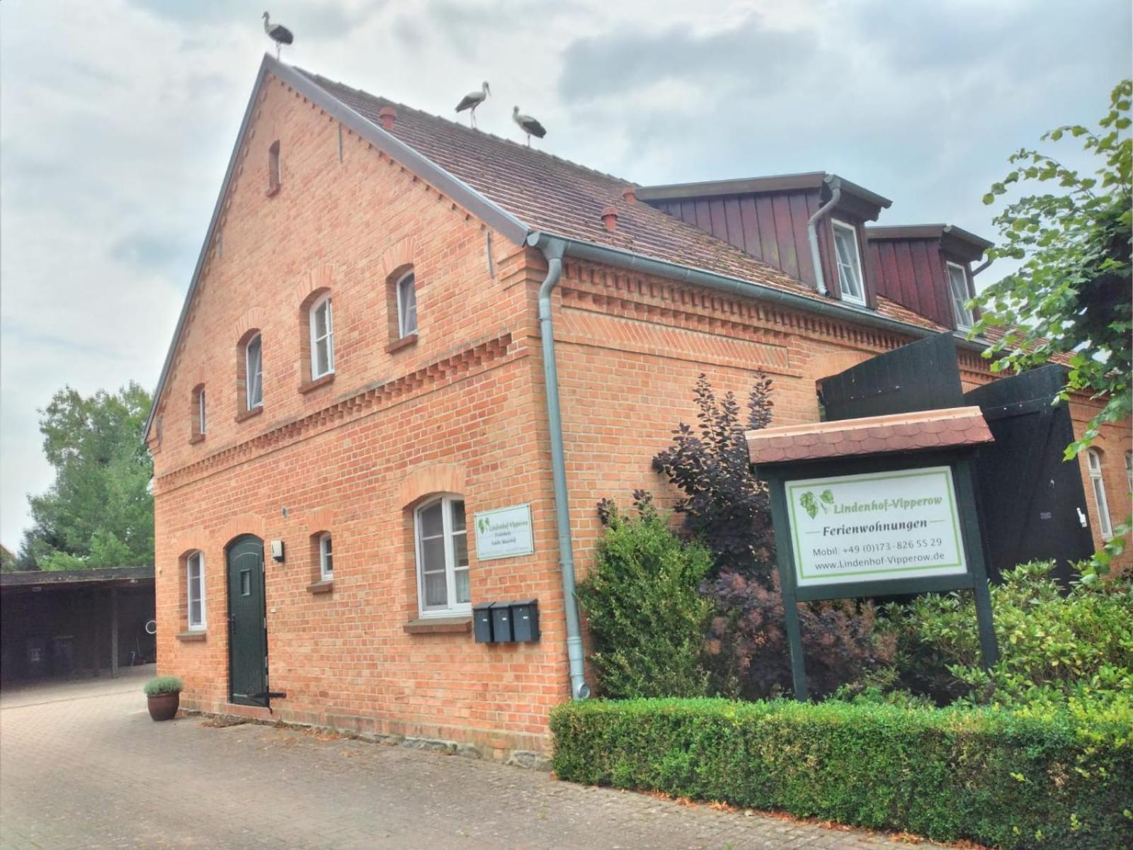Lindenhof, Wohnung 1, Giebel Vipperow Eksteriør bilde